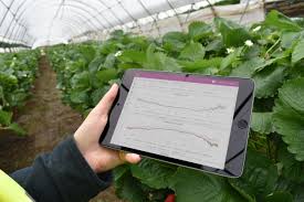 Agri-tech software platform created by vertical farming innovator takes seed as standalone business